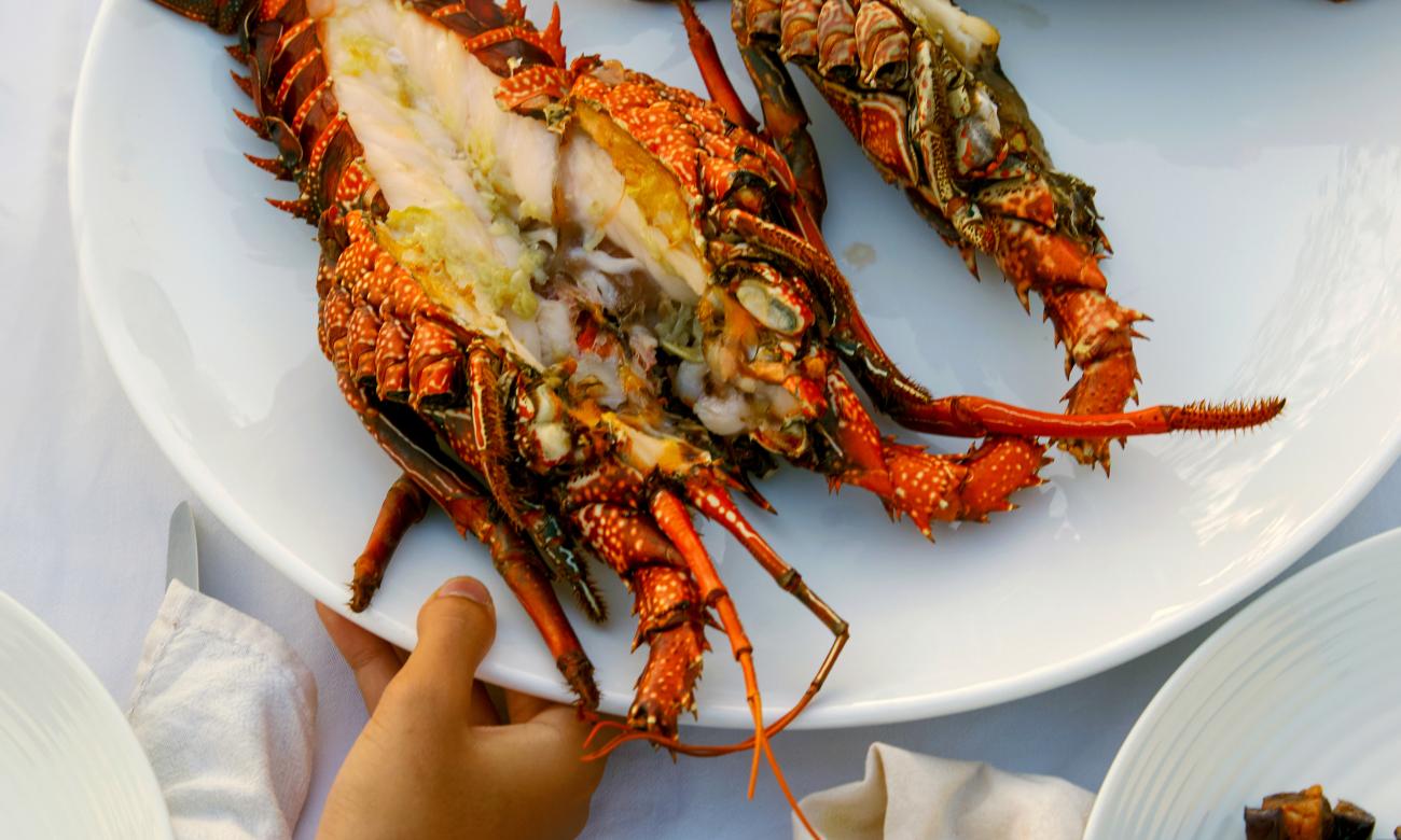 Plate of lobster